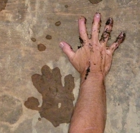 frog hand cropped