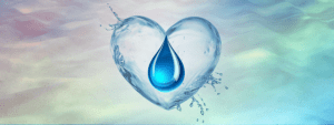 heart water