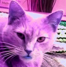 Don't fuck with me, either.